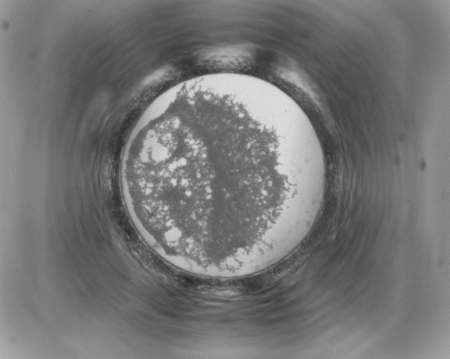 X0000085830643200704132039