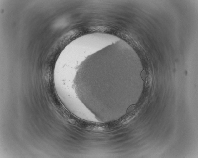 X0000085830647200704132039