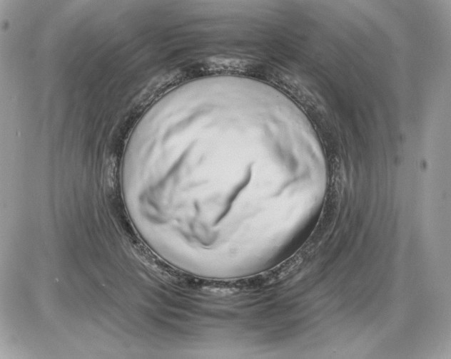 X0000085830649200704132039