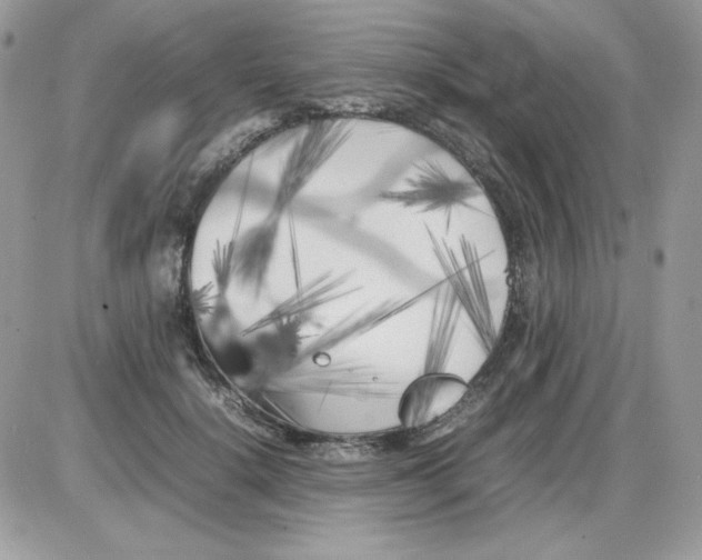 X0000085830652200704132039