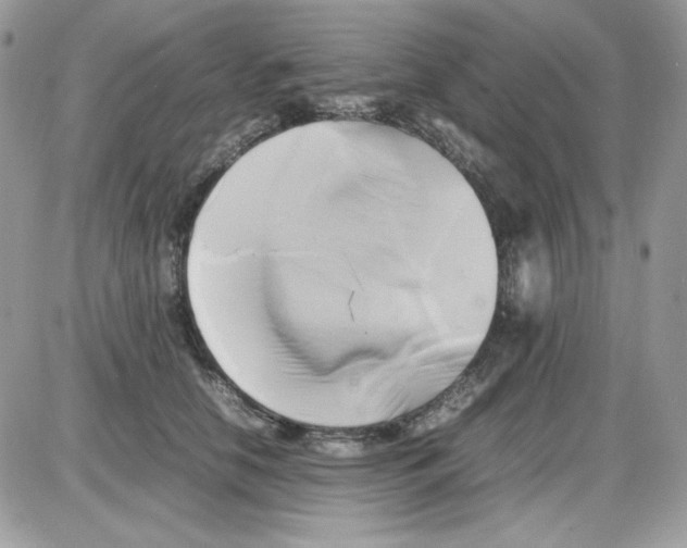 X0000085830658200704132039