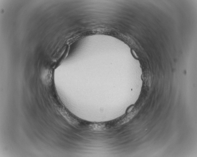 X0000085830660200704132039