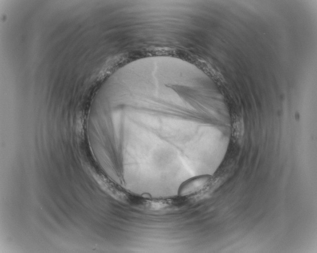 X0000085830662200704132039