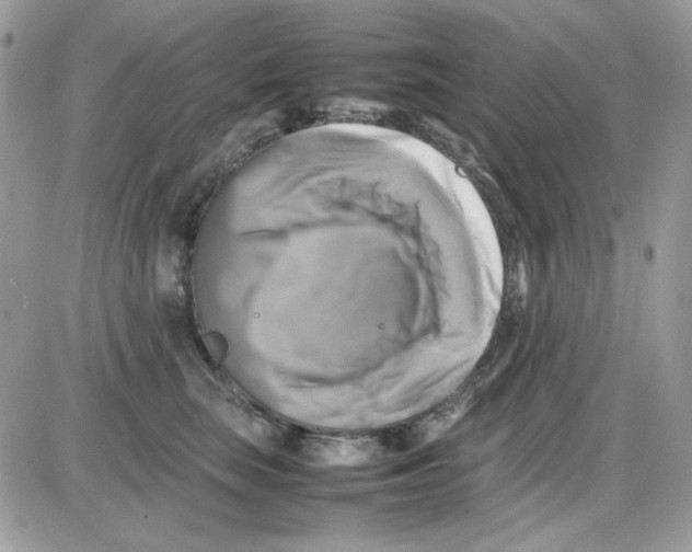 X0000085830663200704132039