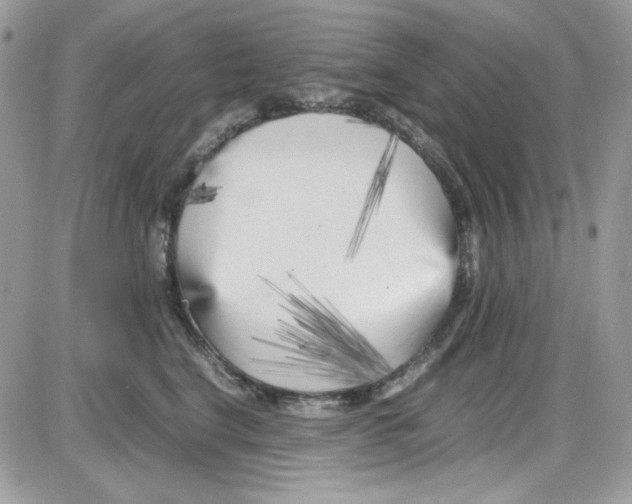 X0000085830664200704132039