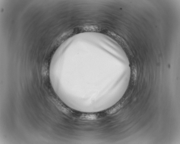 X0000085830665200704132039