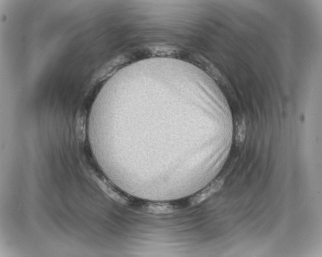 X0000085830666200704132039