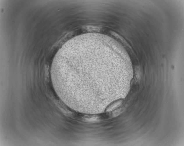 X0000085830667200704132039