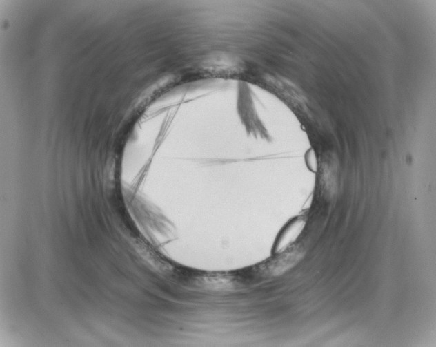 X0000085830668200704132039