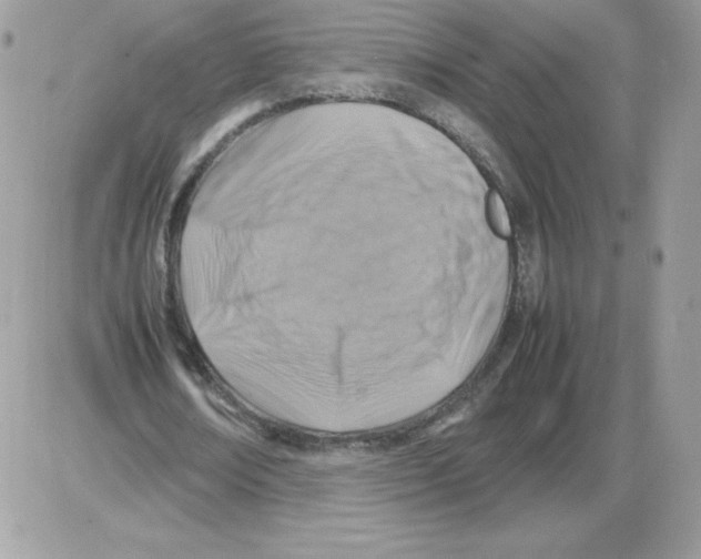 X0000085830674200704132038