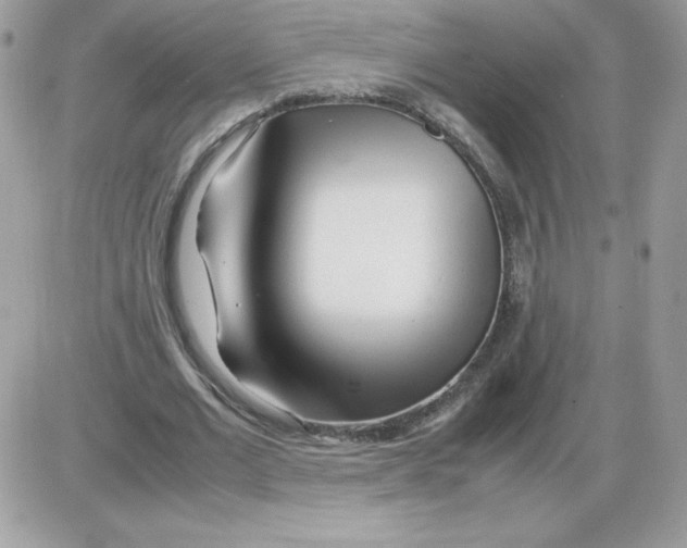 X0000085830677200704132038