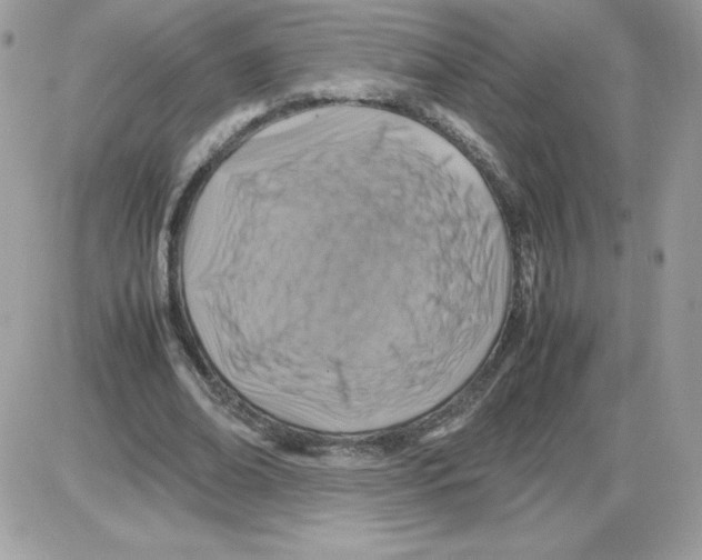 X0000085830678200704132038