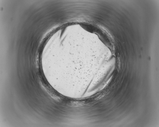X0000085830680200704132038