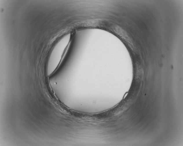 X0000085830681200704132038