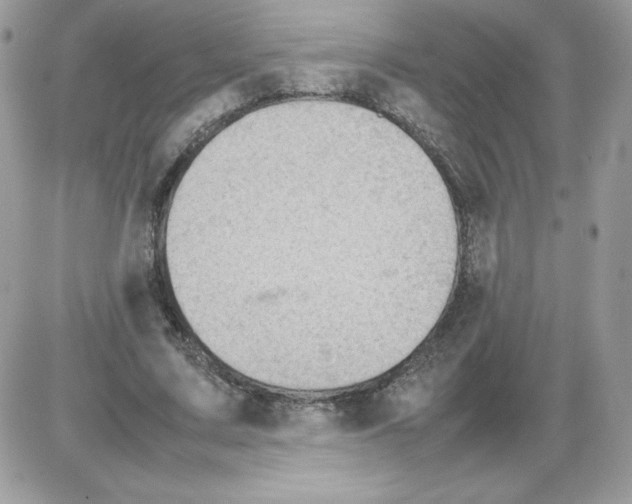 X0000085830683200704132038