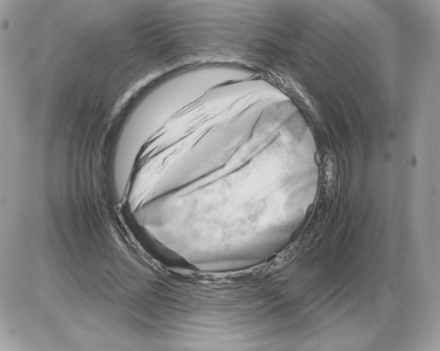 X0000085830684200704132038