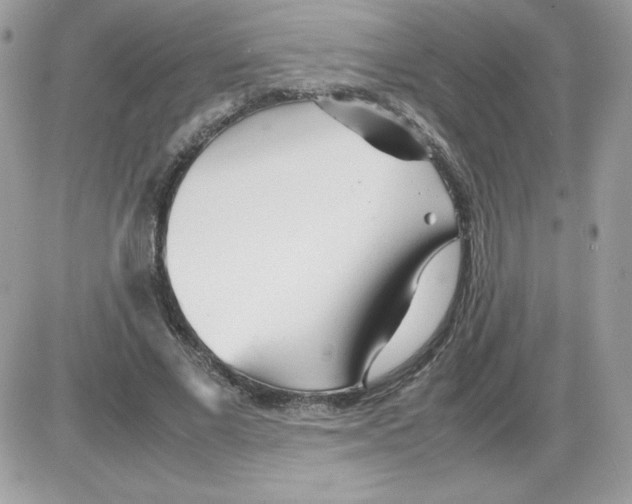 X0000085830685200704132038