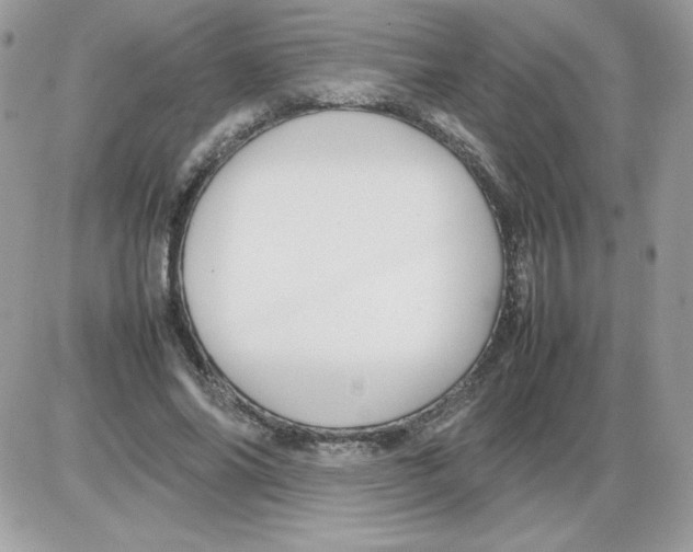 X0000085830686200704132038