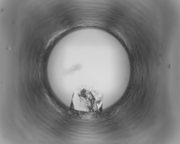 X0000085830688200704132038