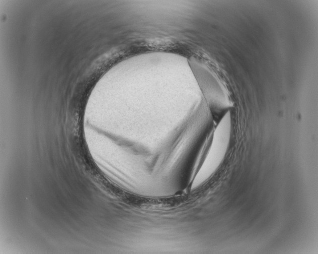 X0000085830689200704132038
