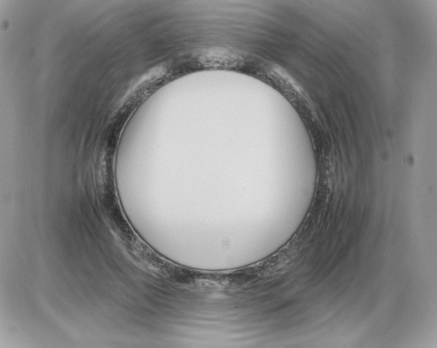 X0000085830690200704132038