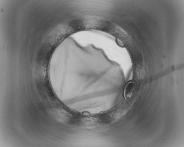 X0000085830691200704132038