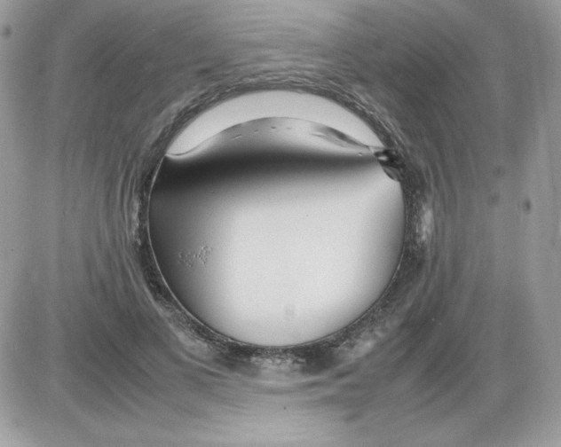 X0000085830693200704132038