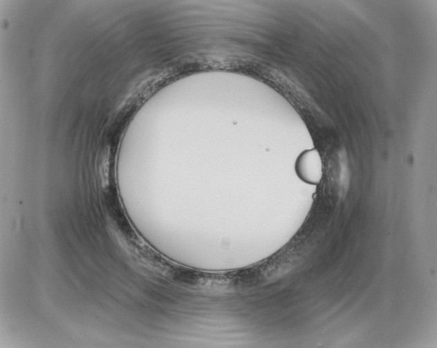 X0000085830694200704132038