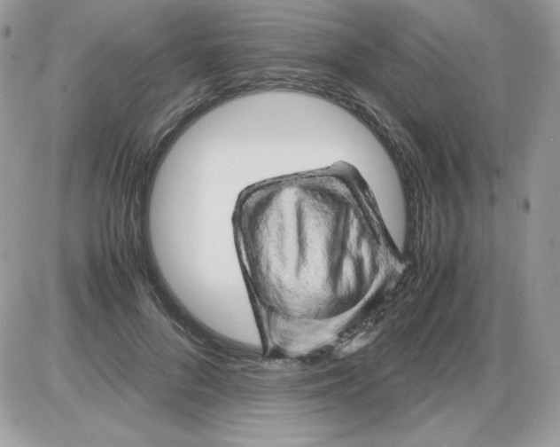 X0000085830696200704132038