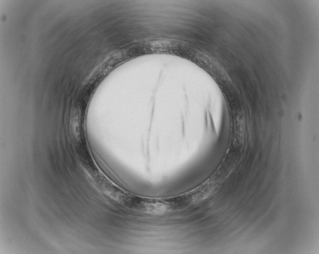 X0000085830698200704132038