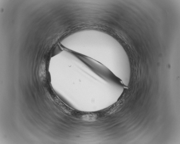 X0000085830700200704132038