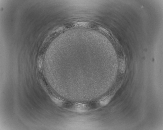 X0000085830701200704132038