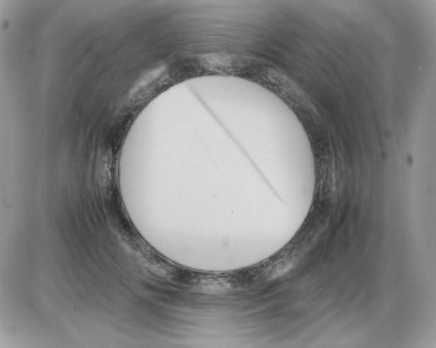 X0000085830702200704132038
