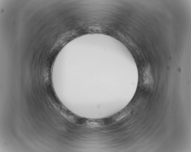 X0000085830706200704132038