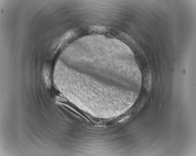 X0000085830708200704132038