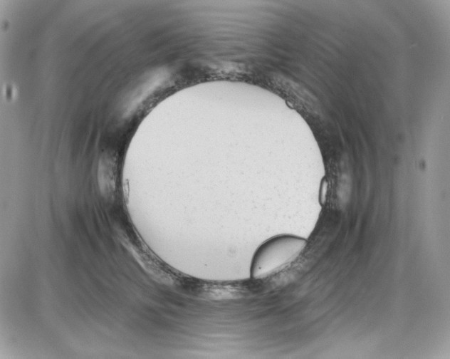 X0000085830710200704132038