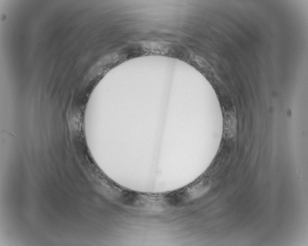 X0000085830713200704132038