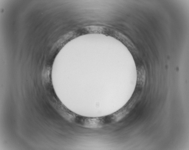 X0000085830717200704132037