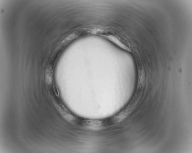 X0000085830719200704132037