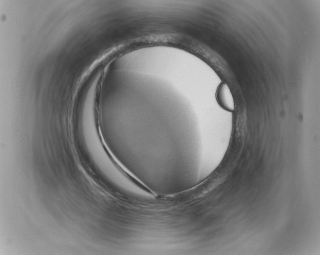 X0000085830722200704132037