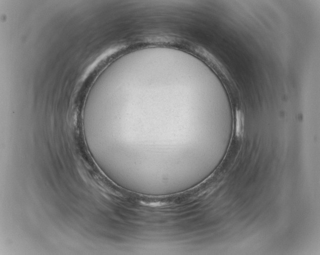 X0000085830723200704132037