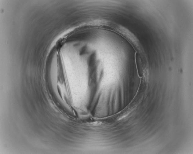 X0000085830724200704132037