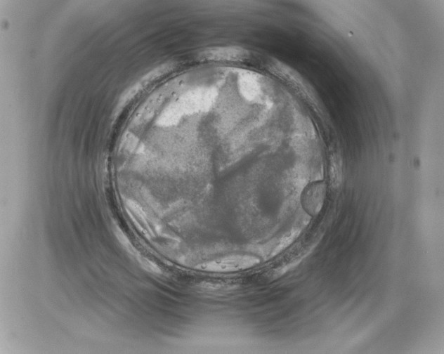 X0000085830725200704132037