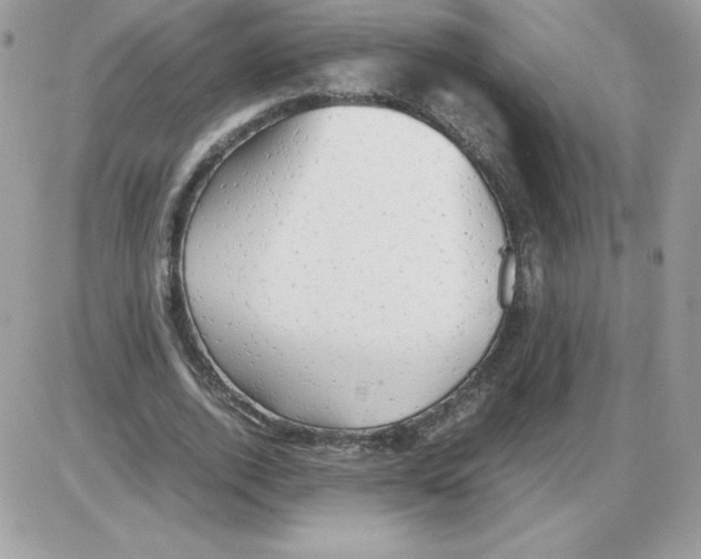 X0000085830728200704132037