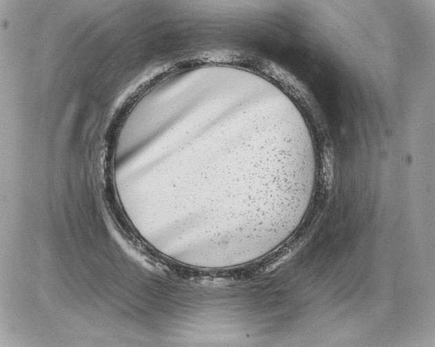 X0000085830730200704132037