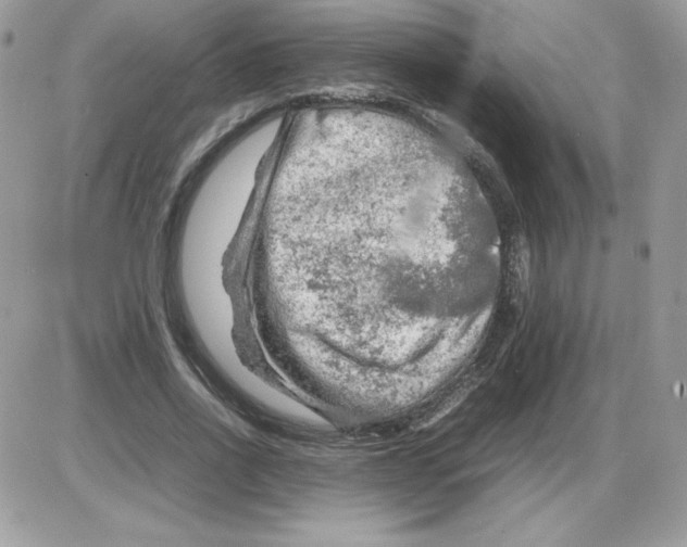 X0000085830734200704132037