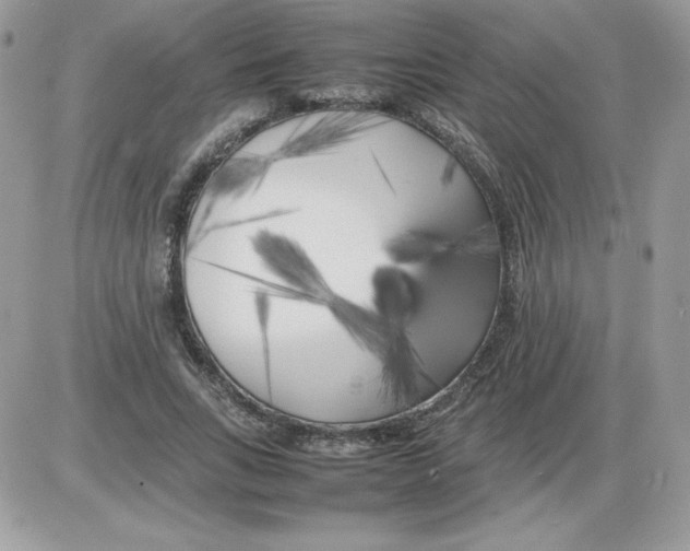 X0000085830735200704132037