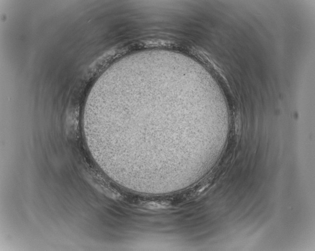 X0000085830737200704132037