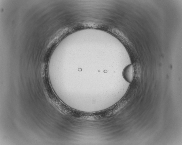 X0000085830738200704132037