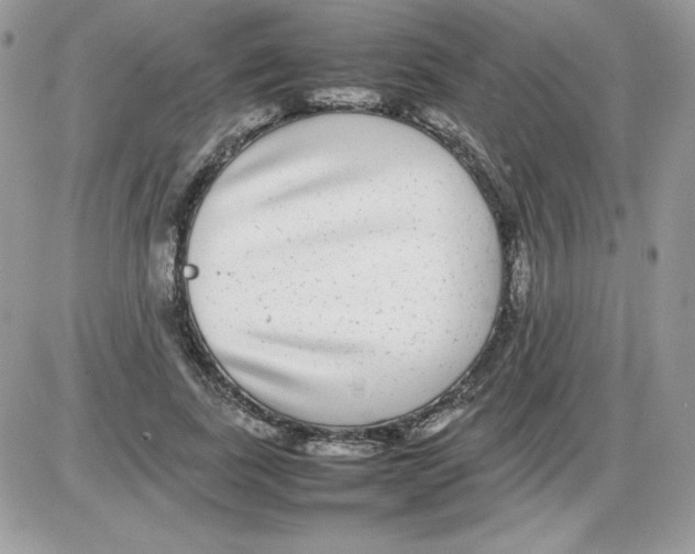 X0000085830739200704132037